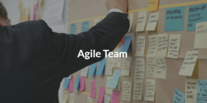 Agile Team