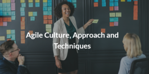 Agile Culture, Approach and Techniques