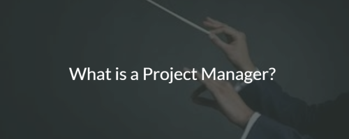 What is a Project Manager?