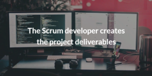 The scrum developer role explained