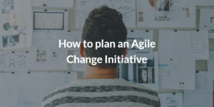 How to plan an Agile Change Initiative to optimize your final products and team cooperation!