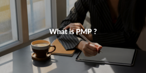 what is pmp