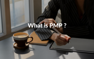 what is pmp