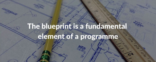 Blueprint: its definition and importance for a successful programme