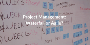 waterfall or agile