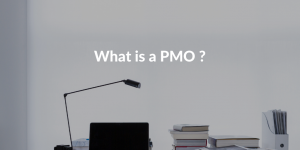 What-is-PMO-Project-Management-Office