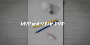 pmp mvp mbi