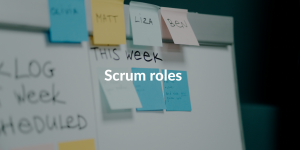 scrum roles