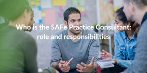 safe practice consultant - role and responsibilities