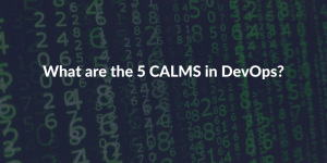 What-are-the-5-CALMS-in DevOps