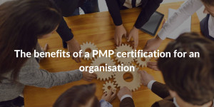 organisational benefits pmp