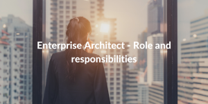enterprise architect role