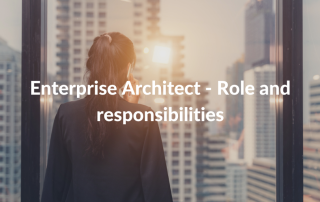enterprise architect role