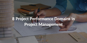 8 Project Performance Domains in Project Management