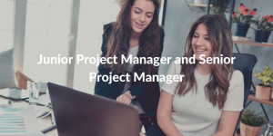 Junior Project Manager and Senior Project Manager