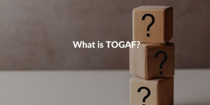What is TOGAF