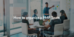 How to organize a PMP Team