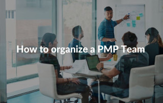 How to organize a PMP Team