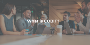 What is COBIT