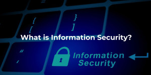 What is Information Security