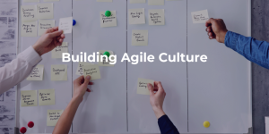 Building Agile Culture